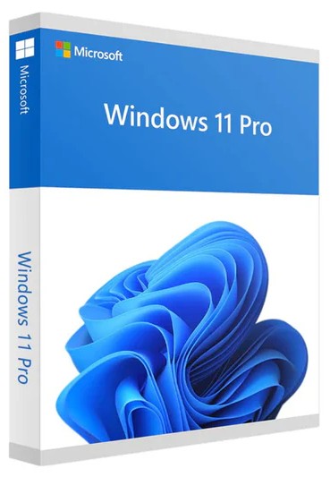 Microsoft Windows 11 Professional for PC